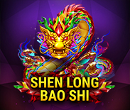 Shen Long Bao Shi